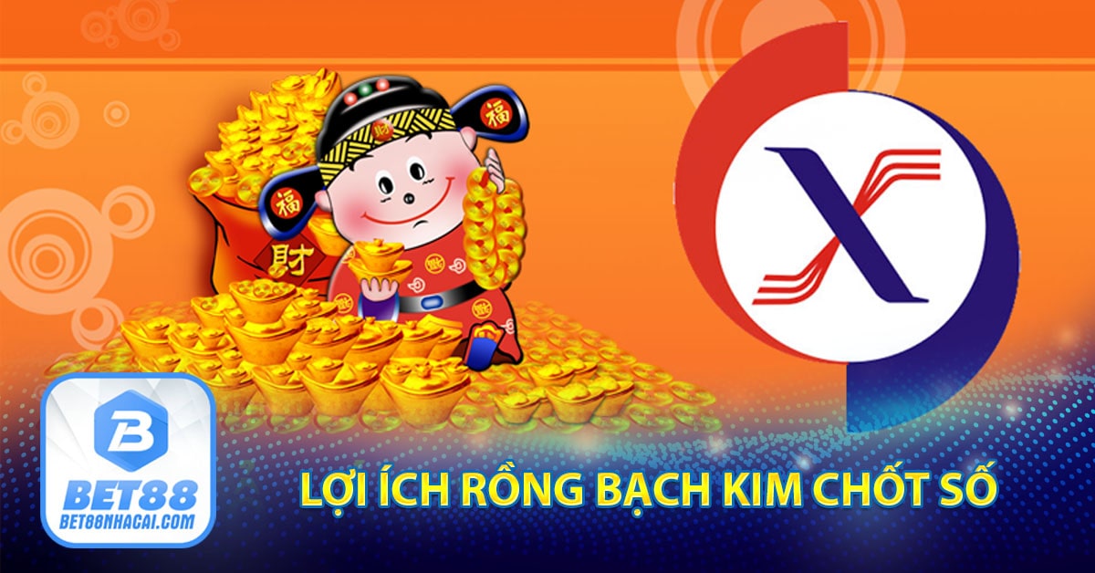 Lợi ích rồng bạch kim